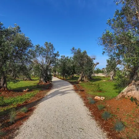 Petra - Sud Est Charme Apartament *