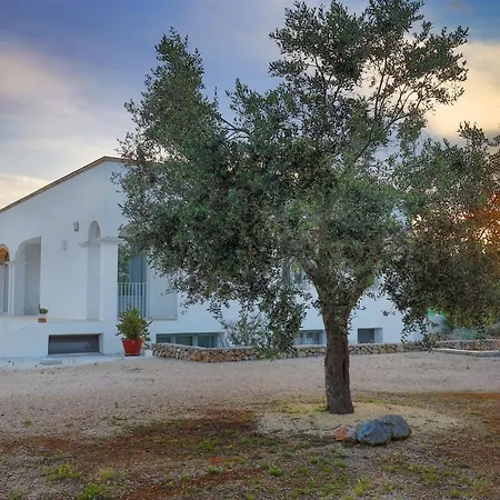 Petra - Sud Est Charme *